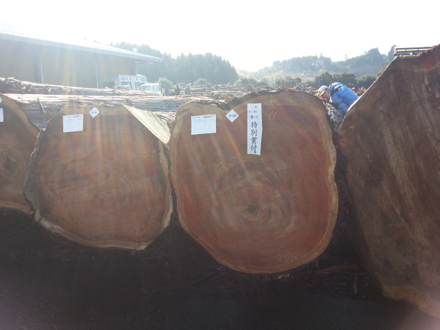 「木材・材木」のススメ
