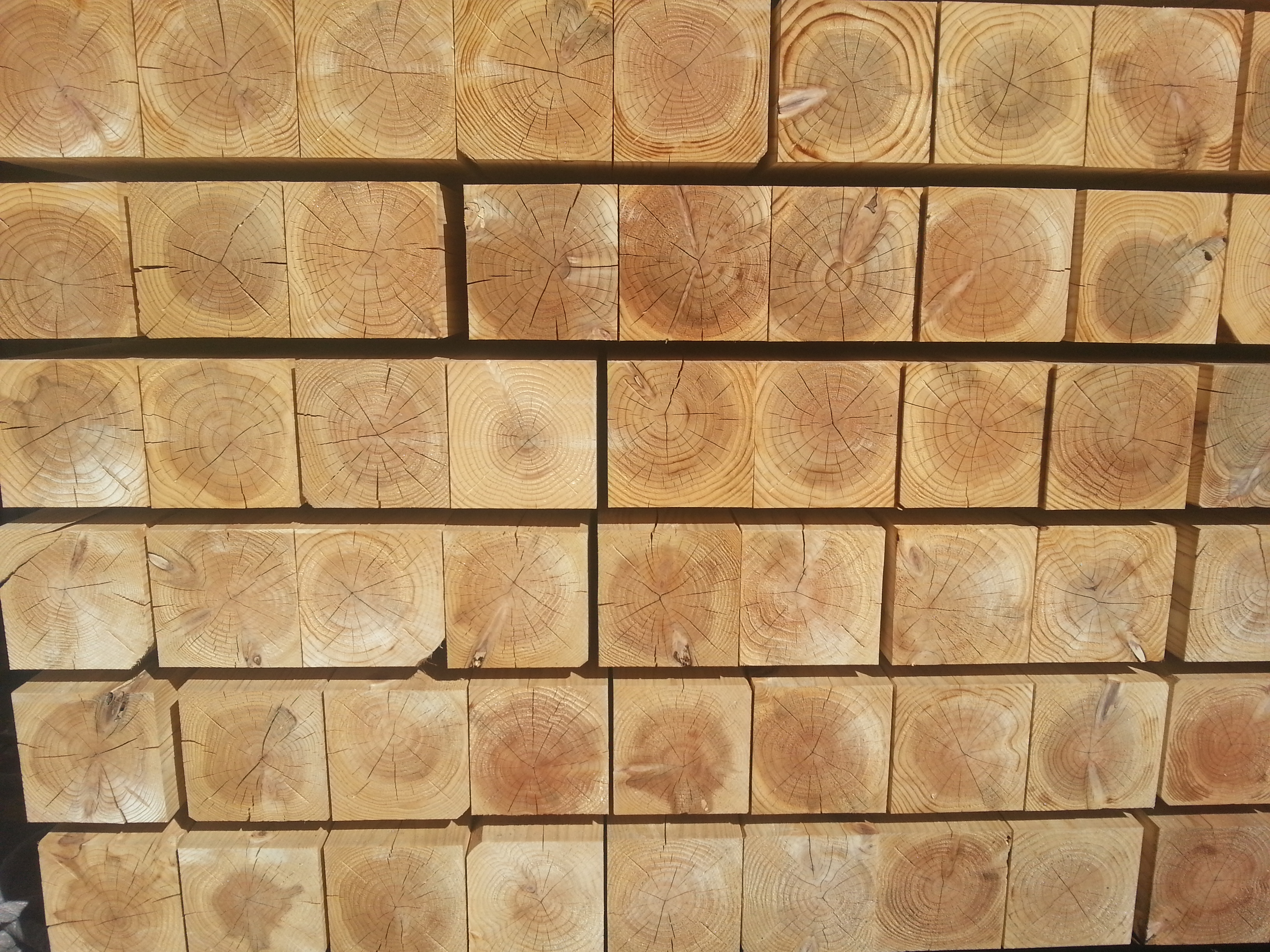 「木材・材木」のススメ