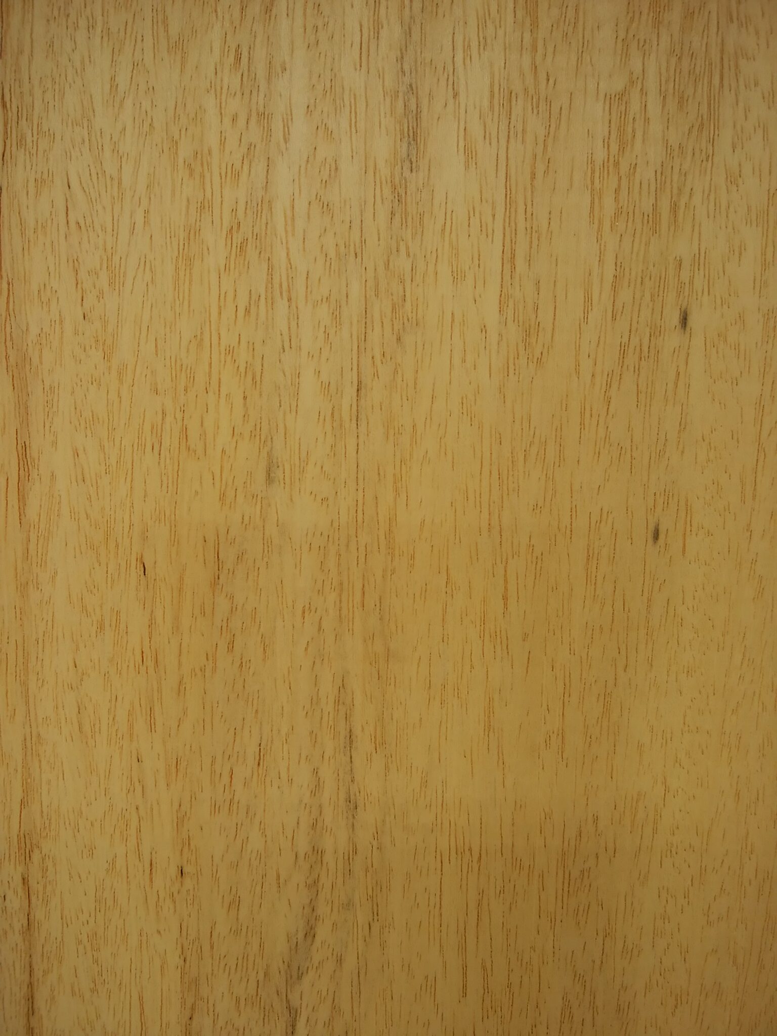 「木材・材木」のススメ