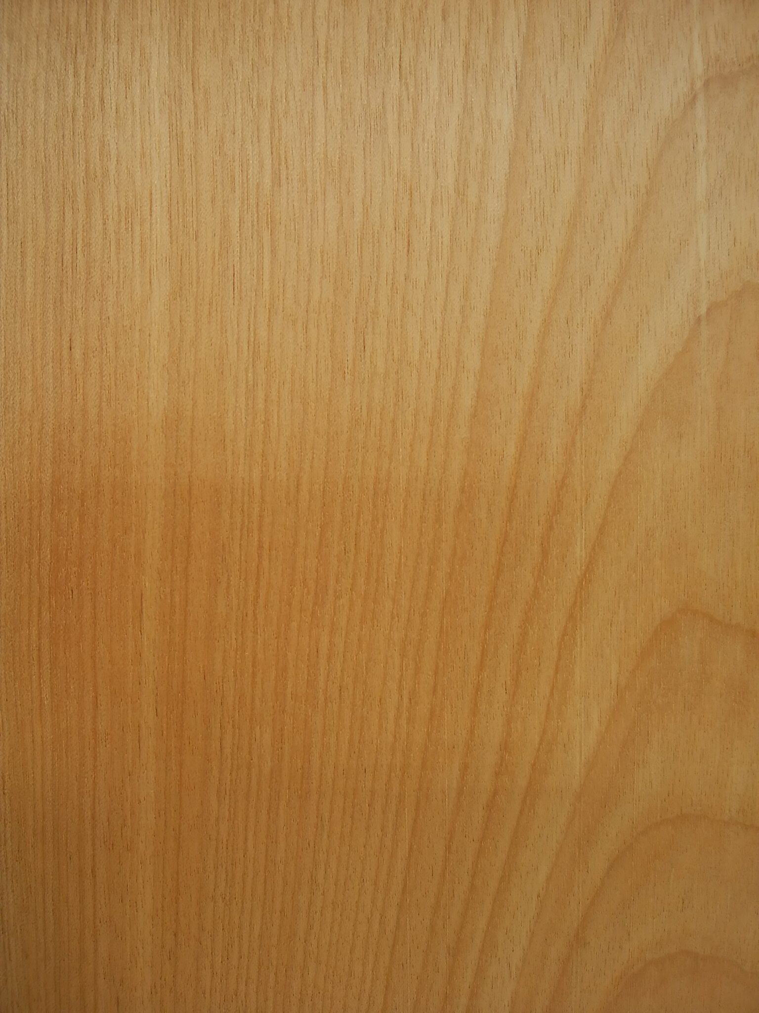 「木材・材木」のススメ